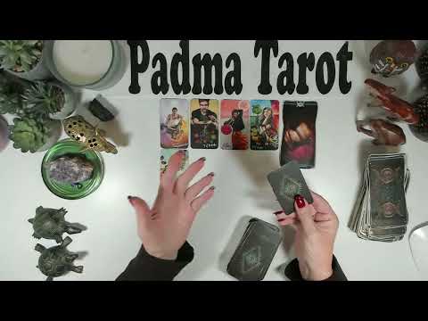 Видео: БЛИЗНЕЦЫ♊️ЧТО-ТО УТРАЧЕНО! 27 ОКТЯБРЯ – 2 НОЯБРЯ КАРЬЕРА И ФИНАНСЫ 💰Еженедельное гадание на карта...