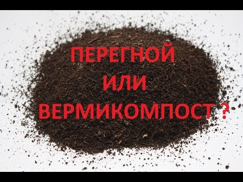 Видео: Разведение червей на перегное. Отличие вермикомпоста от перегноя.