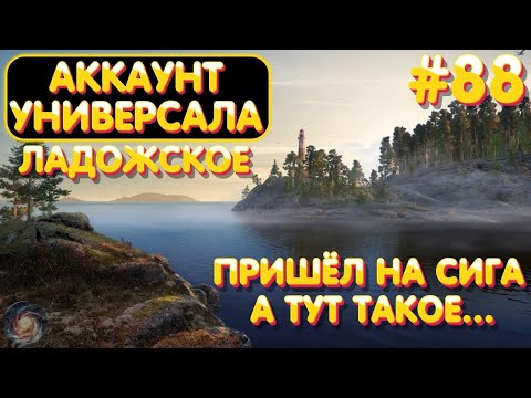 Видео: Аккаунт универсала #88 | Пришёл на Сига, а тут такое... | оз. Ладожское | Русская Рыбалка 4