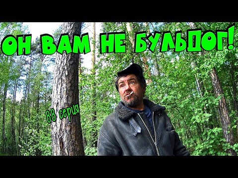 Видео: Один день среди бомжей / 88 серия -Он вам не Бульдог-он Эндрю !(+18)