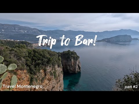 Видео: Розовые Фламинго в Черногории!