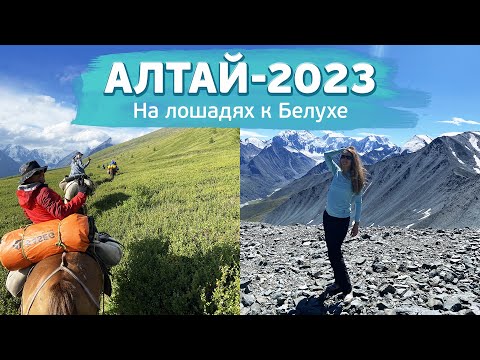 Видео: Алтай 2023 / Поход на лошадях к подножию Белухи