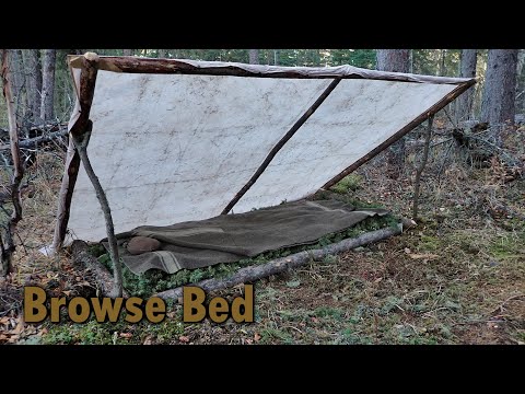 Видео: Изделия из дерева и кемпинг — Обзор кроватей