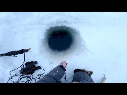 Видео: Серия √42. Рыбалка на Енисее,какой он страшный в этом году.