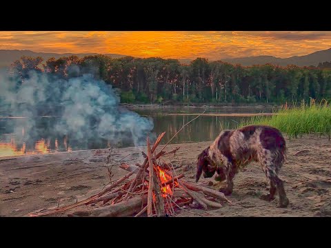 Видео: ВЫСАДИЛИСЬ С РОМКОЙ НА ОСТРОВ! Ловля на закидушки! Рыбалка с ночевкой!