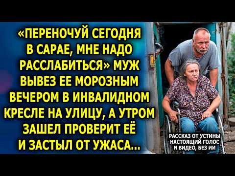 Видео: Морозная Ночь В Сарае Стала Началом Её Новой Жизни