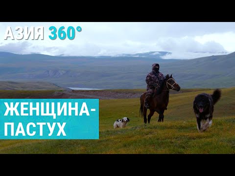 Видео: Пастбище выше облаков: легендарная женщина-пастух из Кыргызстана | АЗИЯ 360°