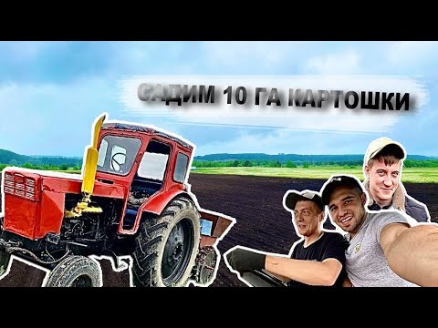 Видео: БИЗНЕС НА КАРТОШКЕ 2024!МИНИ КЛУБНИ! 10 ГЕКТАРОВ!