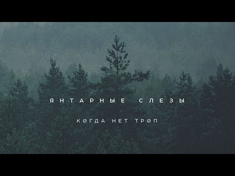 Видео: ЯНТАРНЫЕ СЛЕЗЫ - Когда Нет Троп (2019) Full Album Official (Pagan Doom Metal)