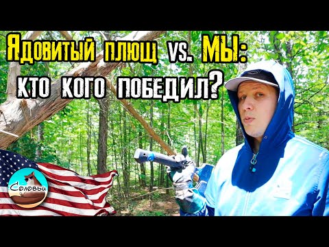 Видео: Ядовитый плющ vs. Мы: кто кого победил? / Как справиться с ядовитым плющем самостоятельно
