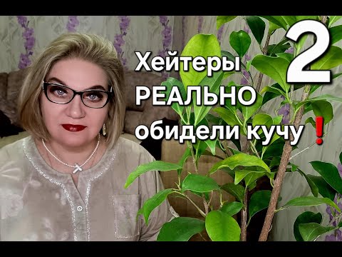 Видео: Хейтеры РЕАЛЬНО обидели кучу!