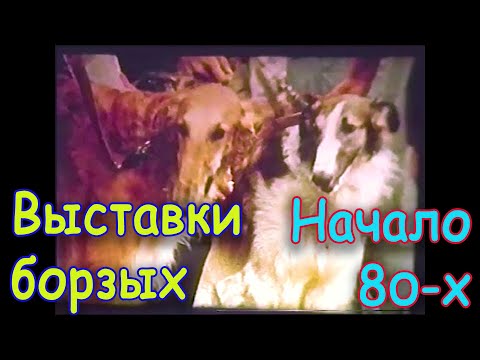 Видео: ВЫСТАВКИ БОРЗЫХ начала 80 х