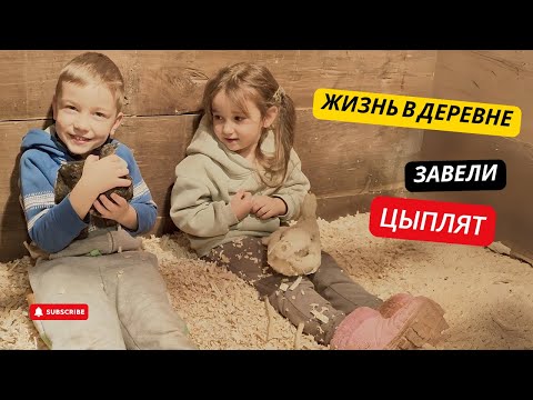 Видео: #20 ЗАВЕЛИ ЦЫПЛЯТ! 🐥 Готовим брудер 🐥 Зимняя обрезка сада 🌳✨ Приготовим апельсиновое варенье