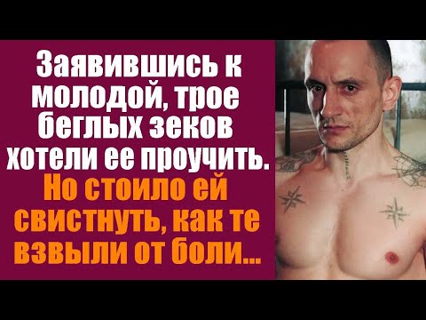 Видео: Заявившись к молодой, трое беглых хотели ее проучить. Но стоило ей свистнуть, как те взвыли от боли
