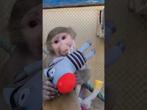 Видео: Сменили обстановку, принимаем солнечные ванны😁