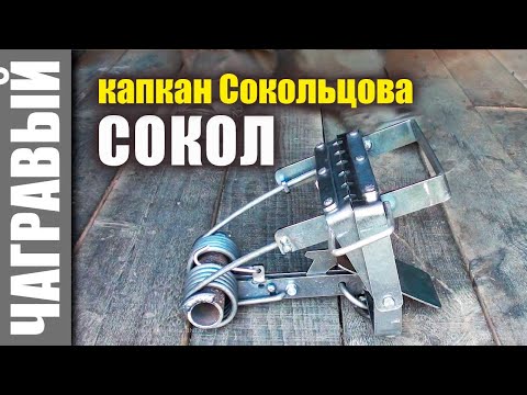 Видео: Капкан Сокольцова - СОКОЛ | новинка СУАС