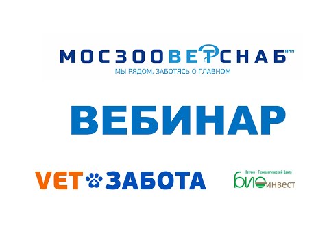 Видео: Новые возможности препарата фелиферон при терапии ретровирусных инфекций у кошек