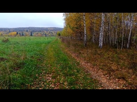 Видео: Закрытие сезона.