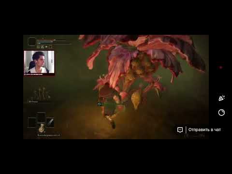 Видео: KhurtsTeam против грибов и цветов! Elden Ring 