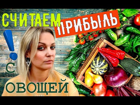 Видео: Сколько мы заработали на овощах за сезон?! Секретные материалы.