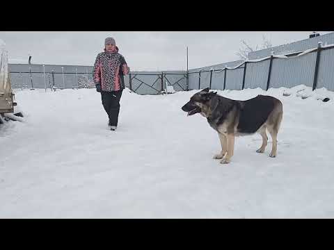 Видео: Важные моменты при движении и поворотах "рядом".