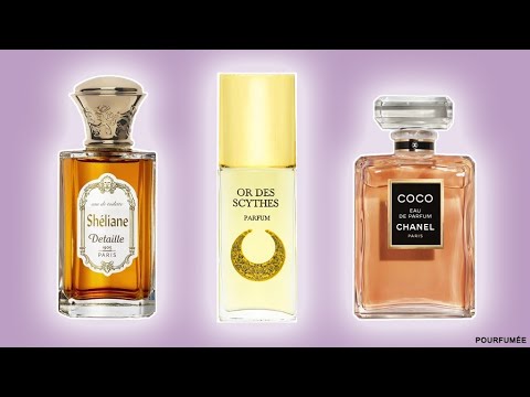 Видео: Бюджетные аналоги COCO Chanel | ЗЛАТО СКИФОВ (Or des Scythes) Новая Заря | SHELIAN Detaille #парфюм