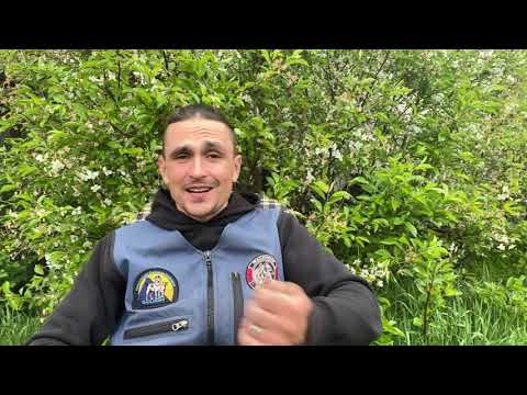 Видео: Почему от собаки нужно морозиться