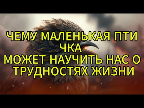 Видео: ЧЕМУ МАЛЕНЬКАЯ ПТИЧКА МОЖЕТ НАУЧИТЬ НАС О ТРУДНОСТЯХ ЖИЗНИ....