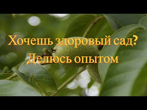 Видео: Грецкий Орех. Биоорганическая подкормка. Часть2. №2