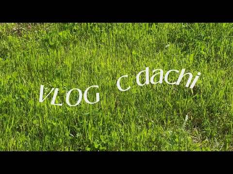 Видео: ТИХИЙ ДЕНЬ В МАЛЕНЬКОМ ДОМИКЕ — КАК ПЕРЕЖИЛИ ГРОЗУ И ПОЛЮБИЛИ ТУМАН 😍