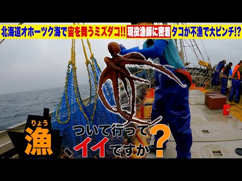 Видео: Я отправился на рыбалку на кальмаров на Хоккайдо.