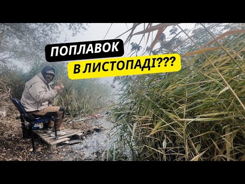 Видео: Поплавочна ловля в листопаді | Туманний ранок на кар’єрі