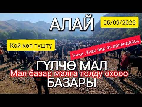 Видео: Бул базарда кой көп // Саан Уйлар арзан// Эчки Улак да баасы түштү.
