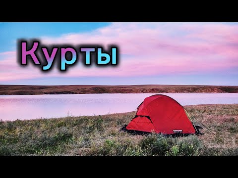 Видео: Куртинское водохранилище | Ящерица, черепахи, атайки и маки | 6-9 мая 2024