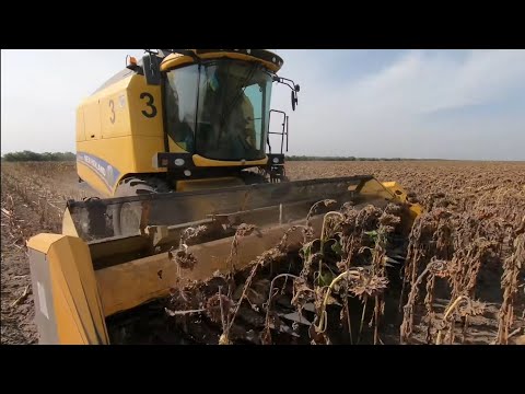 Видео: УБОРКА LG 59.580 - порадовал результатом.... 2020.