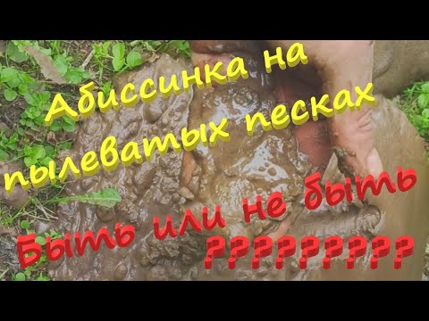 Видео: Возможна ли абиссинская скважина на пылеватых песках?