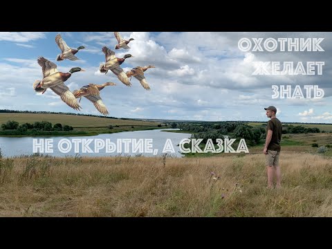 Видео: ОХОТА НА УТКУ. ШИКАРНОЕ ОТКРЫТИЕ. ТОПЧЕМ КРЯКВУ В БОЛОТЕ. 4K