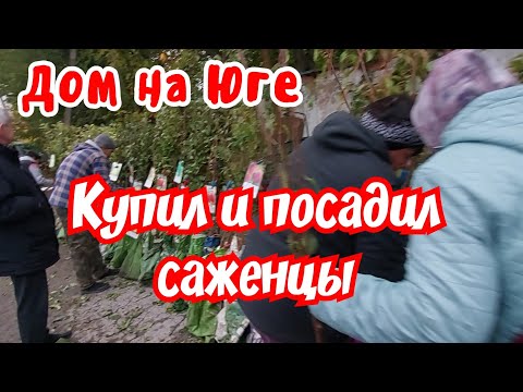 Видео: Дом на Юге. Купил и посадил саженцы.