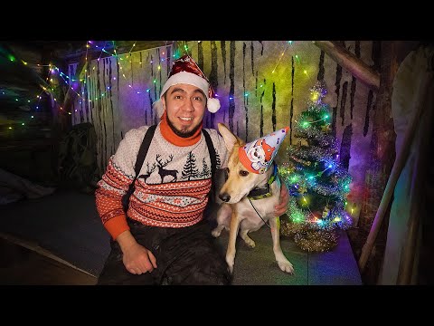 Видео: НОВОГОДНЯЯ НОЧЁВКА В ЗЕМЛЯНКЕ. С НОВЫМ 2023 ГОДОМ! УРА!
