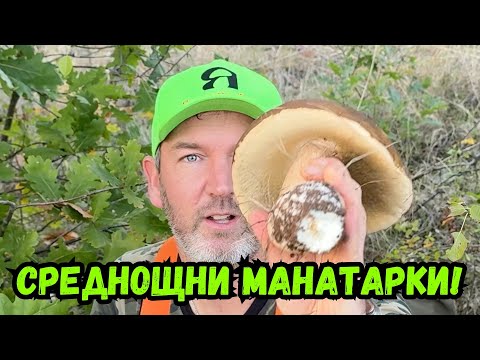 Видео: Среднощни #манатарки  