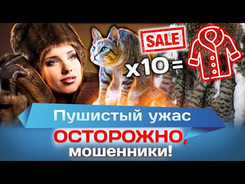 Видео: Пушистый ужас. Осторожно, мошенники!