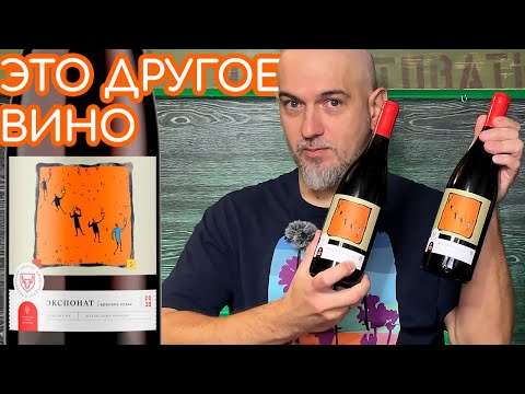 Видео: Бюрнье Экспонат 2023