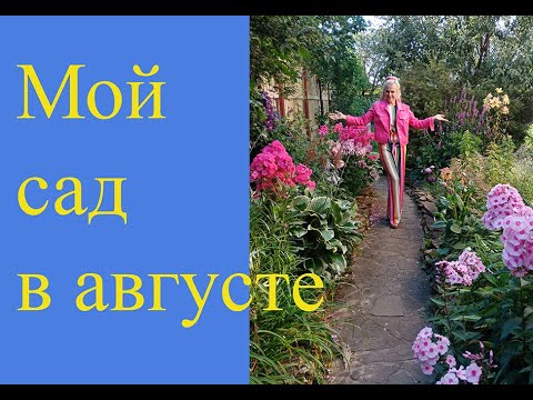 Видео: Мой сад: приглашаю в гости!