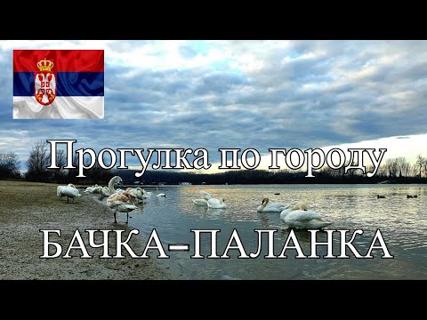 Видео: ГОРОДА СЕРБИИ БАЧКА-ПАЛАНКА