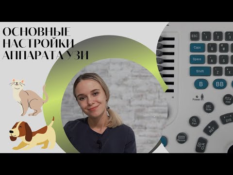Видео: Основные настройки аппарата УЗИ