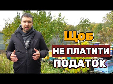 Видео: Документи для здачі меду оптом. Податок на мед оптом