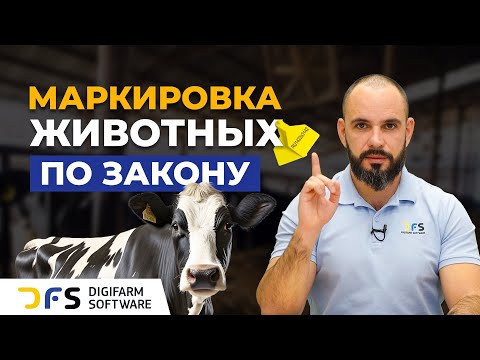Видео: Закон о маркировке животных, какие есть нюансы