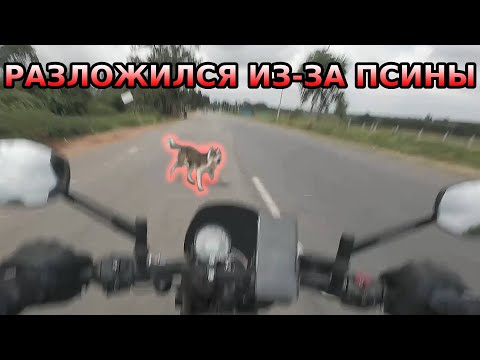 Видео: Наехал на собаку и упал! Разборы ДТП #мотоцикл #дтп2024
