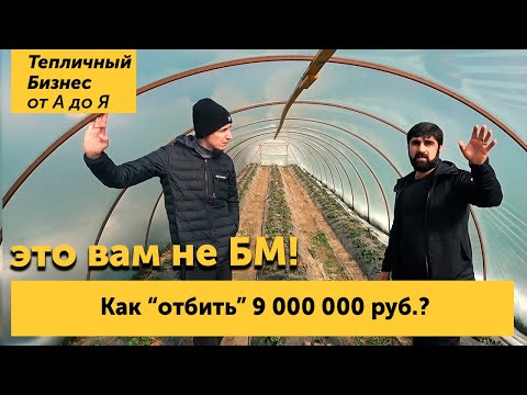Видео: Это вам не БМ! Как отбить 9 млн с теплиц?