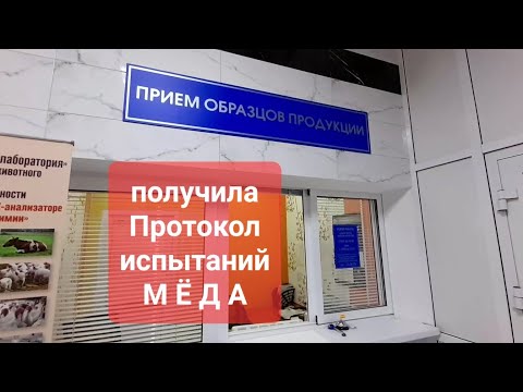 Видео: #пасека Получила протокол испытаний мёда#bee 